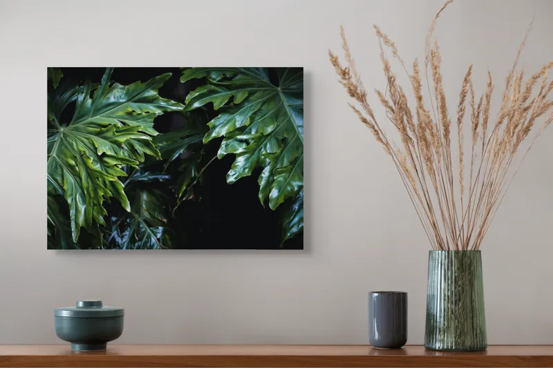 Tablou Canvas, "Frumusețea frunzelor tropicale verzi", Frunze, Verde, Lucioase, Umbre, Vegetație, Textură, Tropice, Natură, Profunditate., 54 x 39 cm – poza 4