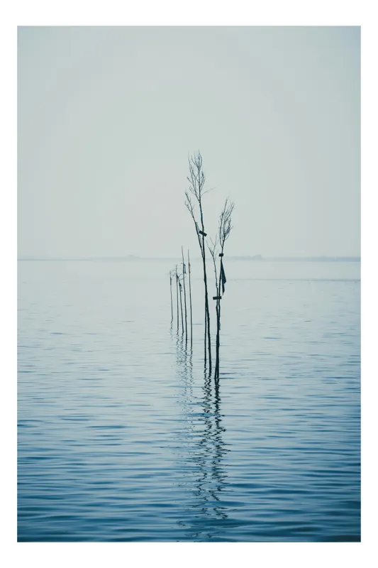 Tablou Canvas, "Tăcerea apelor în dimineața liniștită", Calm, Solitude, Reflection, Tranquility, Minimalism, Stillness, Nature, 50 x 50 cm
