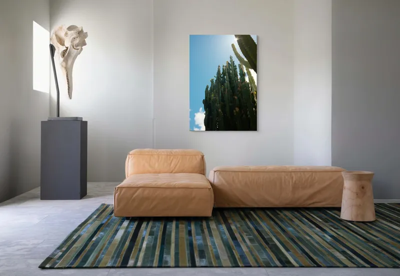 Tablou Canvas, "Cactuși impozanți sub cerul senin", Cactuși, Soare, Cer, Verde, Colțuros, Umbre, Natură, Înalt., 70 x 100 cm – poza 7