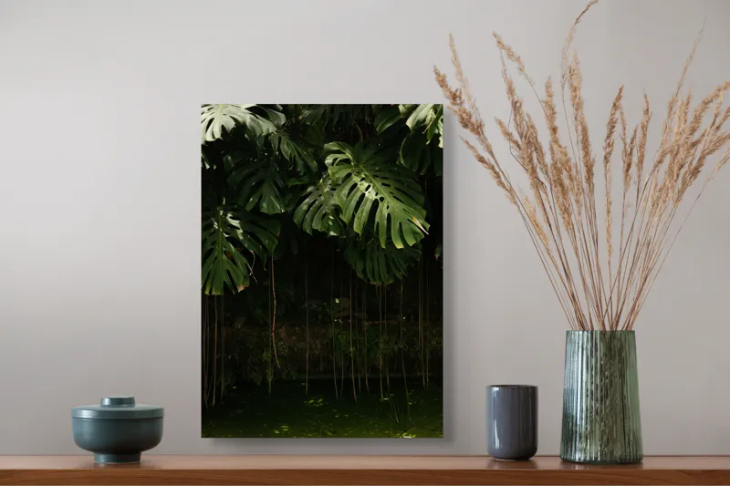 Tablou Canvas, "Monstera în lumina liniștită a pădurii", Frunze, Liane, Umbre, Verde, Jungle, Mister, Tropical, Răcoare, 39 x 54 cm – poza 3