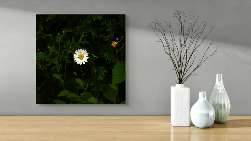 Tablou Canvas, "Margareta solitară în umbra naturii", Floare, Margareta, Verdeață, Întuneric, Solitudine, Natură, Fragilitate, Contrast, Viață, Simplitate, 50 x 50 cm – poza 3