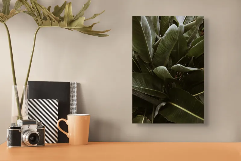 Tablou Canvas, "Frunzele tropicale ale liniștii verzi", Verde, Frunze, Luxuriant, Natură, Tropical, Vigoros, Vegetație, 26 x 39 cm – poza 3