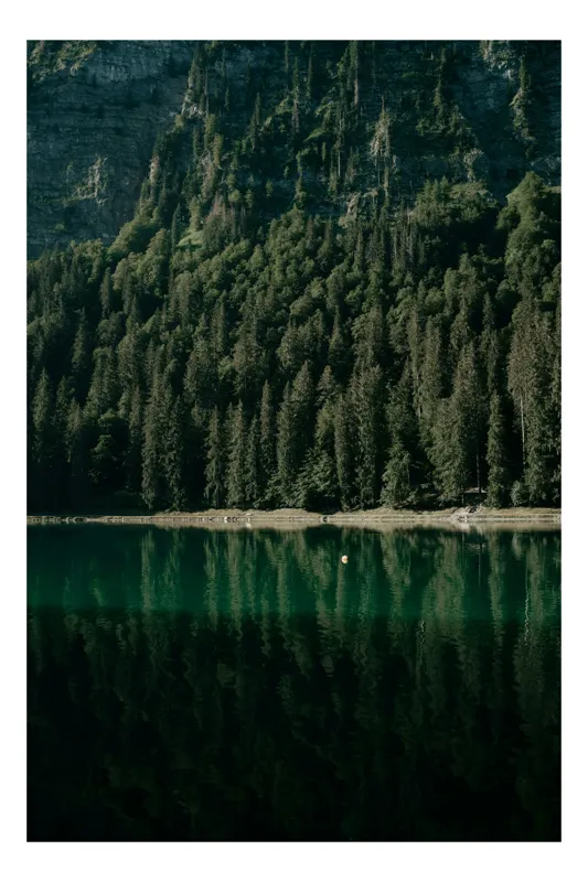 Tablou Canvas, "Reflexia pădurii pe lacul misterios", Reflecție, Pădure, Lac, Munți, Verde, Calm, Natură, Liniște, 26 x 39 cm