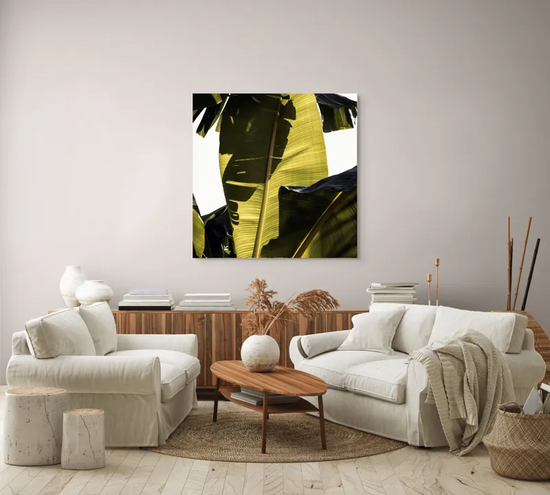 Tablou Canvas, "Frunza de bananier la apus", Frunze, Verde, Lumină, Umbre, Textură, Natură, Tropical, Vitalitate, 100 x 100 cm – poza 3