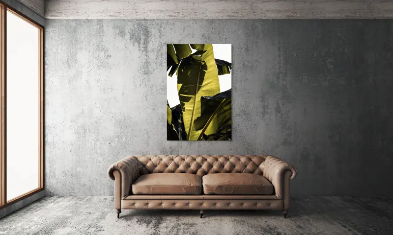 Tablou Canvas, "Frunza de bananier la apus", Frunze, Verde, Lumină, Umbre, Textură, Natură, Tropical, Vitalitate, 100 x 150 cm – poza 6