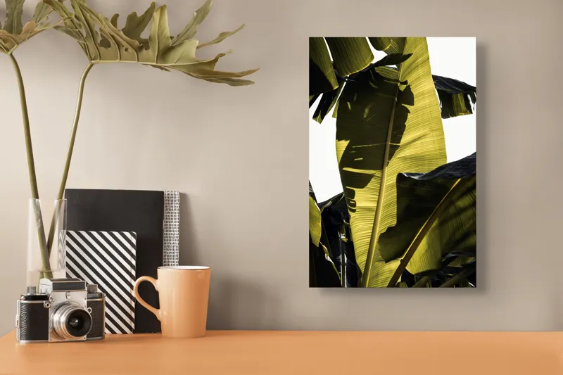 Tablou Canvas, "Frunza de bananier la apus", Frunze, Verde, Lumină, Umbre, Textură, Natură, Tropical, Vitalitate, 26 x 39 cm – poza 3