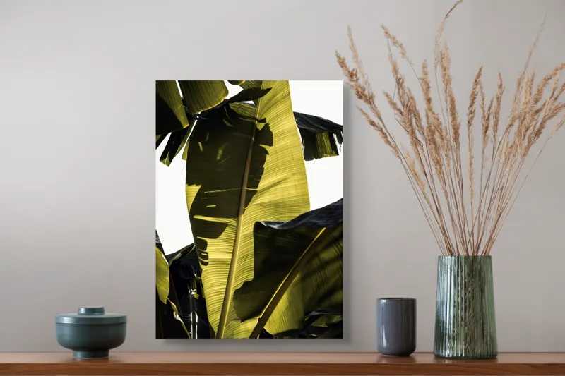 Tablou Canvas, "Frunza de bananier la apus", Frunze, Verde, Lumină, Umbre, Textură, Natură, Tropical, Vitalitate, 39 x 54 cm – poza 3