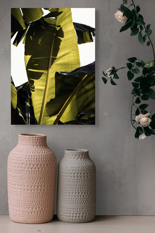 Tablou Canvas, "Frunza de bananier la apus", Frunze, Verde, Lumină, Umbre, Textură, Natură, Tropical, Vitalitate, 39 x 54 cm – poza 6