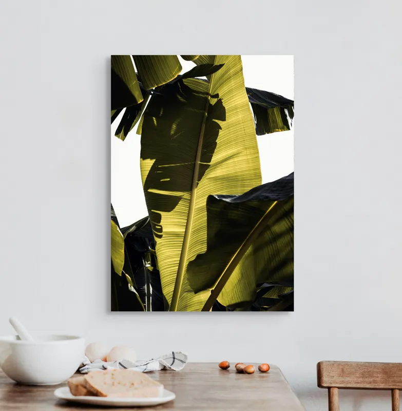 Tablou Canvas, "Frunza de bananier la apus", Frunze, Verde, Lumină, Umbre, Textură, Natură, Tropical, Vitalitate, 50 x 70 cm – poza 3
