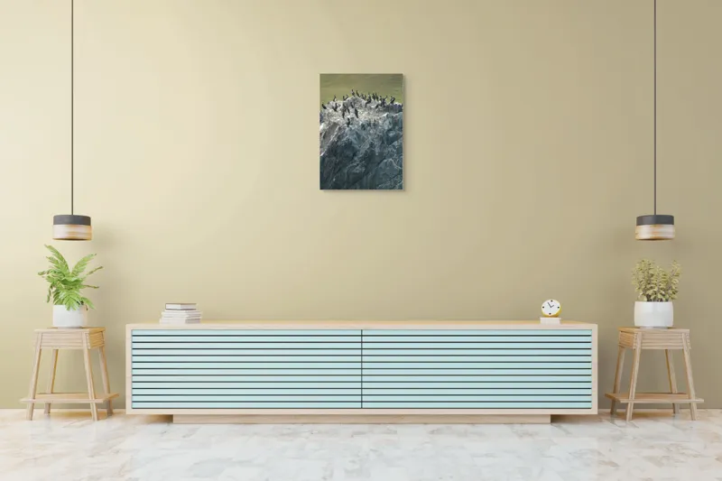 Tablou Canvas, "Cormorani odihnindu-se pe stânci aspre", Păsări, Piatra, Agitație, Natură, Coastă, Pescăruși, Stâncăta, Frumusețe, Peisaj, Sălbăticie, 50 x 70 cm – poza 6