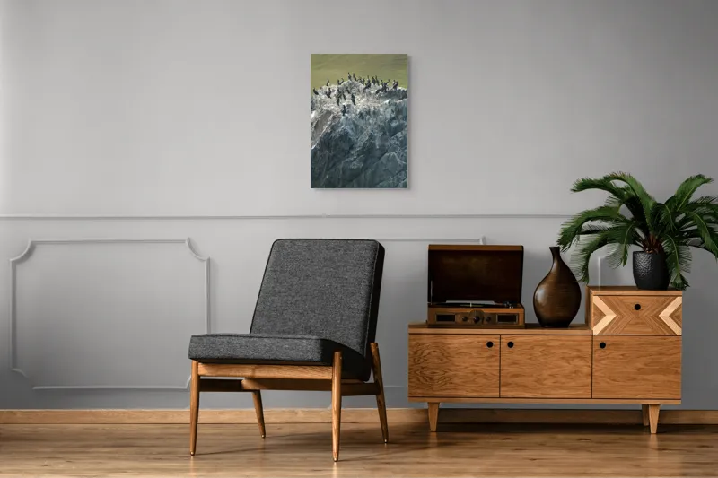 Tablou Canvas, "Cormorani odihnindu-se pe stânci aspre", Păsări, Piatra, Agitație, Natură, Coastă, Pescăruși, Stâncăta, Frumusețe, Peisaj, Sălbăticie, 50 x 70 cm – poza 8