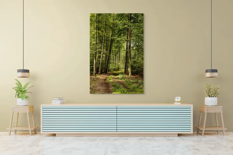 Tablou Canvas, "Cărare prin pădurea liniștită de vară", Pădure, Potecă, Copaci, Lumină, Frunze, Natură, Verde, Tranquilitate, 100 x 150 cm – poza 4
