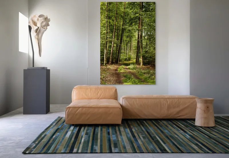 Tablou Canvas, "Cărare prin pădurea liniștită de vară", Pădure, Potecă, Copaci, Lumină, Frunze, Natură, Verde, Tranquilitate, 100 x 150 cm – poza 7