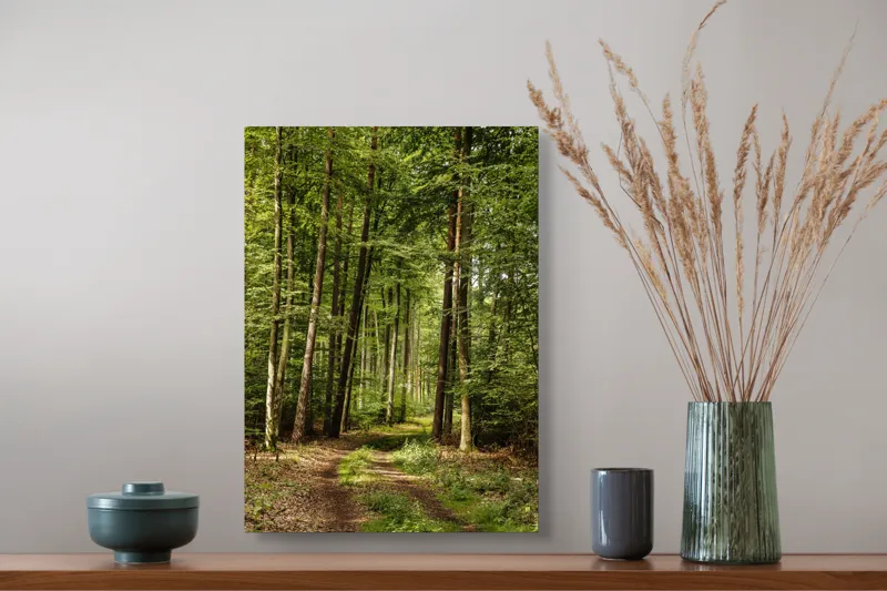 Tablou Canvas, "Cărare prin pădurea liniștită de vară", Pădure, Potecă, Copaci, Lumină, Frunze, Natură, Verde, Tranquilitate, 39 x 54 cm – poza 3