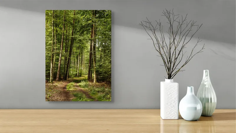 Tablou Canvas, "Cărare prin pădurea liniștită de vară", Pădure, Potecă, Copaci, Lumină, Frunze, Natură, Verde, Tranquilitate, 39 x 54 cm – poza 4