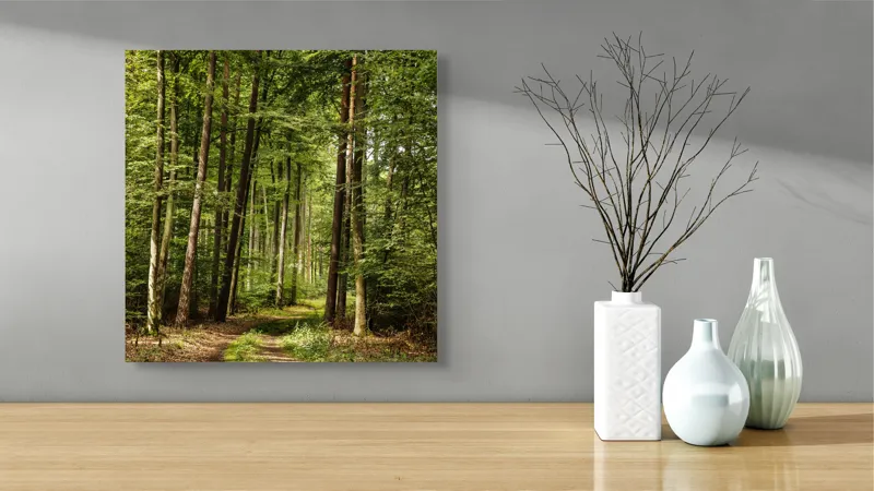 Tablou Canvas, "Cărare prin pădurea liniștită de vară", Pădure, Potecă, Copaci, Lumină, Frunze, Natură, Verde, Tranquilitate, 50 x 50 cm – poza 3