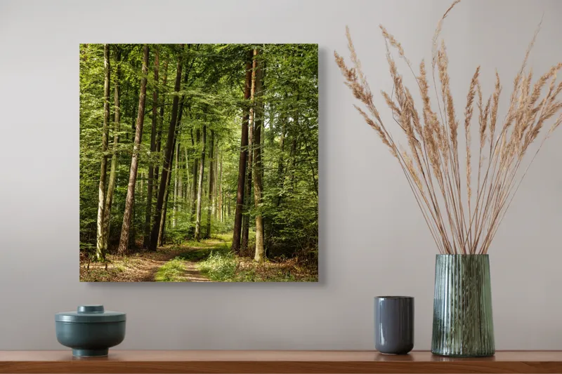 Tablou Canvas, "Cărare prin pădurea liniștită de vară", Pădure, Potecă, Copaci, Lumină, Frunze, Natură, Verde, Tranquilitate, 50 x 50 cm – poza 4