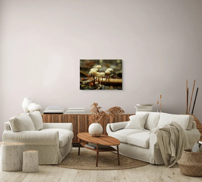 Tablou Canvas, "Misterul ciupercilor ascunse în pădure", Grup, Ciuperci, Pălării, Scurte, Fragile, Lumina, Natură, Pământ, Toamnă, Microscopic, Detaliu, Mediul, Pădure, Textură., 70 x 50 cm – poza 6