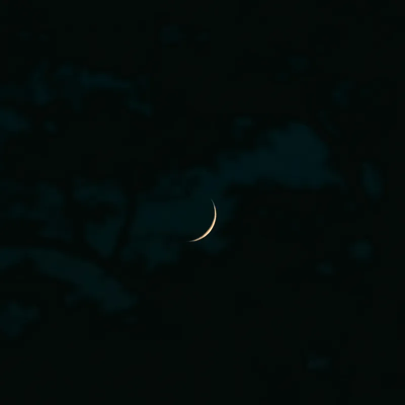 Tablou Canvas, "Semiluna pe cerul adânc al nopții", Crescent, Night, Sky, Darkness, Mystery, 50 x 50 cm – poza 2