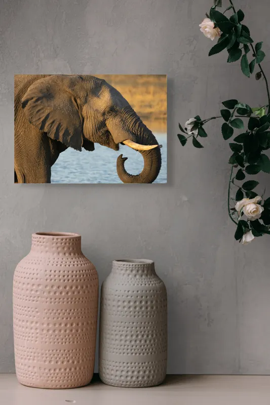 Tablou Canvas, "Elefant lângă apă la apus", Elefant, Apă, Urechi, Trompă, Fildeș, Natură, Piele, Mamifer, 54 x 39 cm – poza 8
