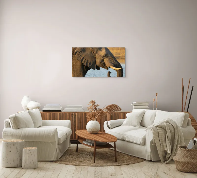 Tablou Canvas, "Elefant lângă apă la apus", Elefant, Apă, Urechi, Trompă, Fildeș, Natură, Piele, Mamifer, 90 x 50 cm – poza 4