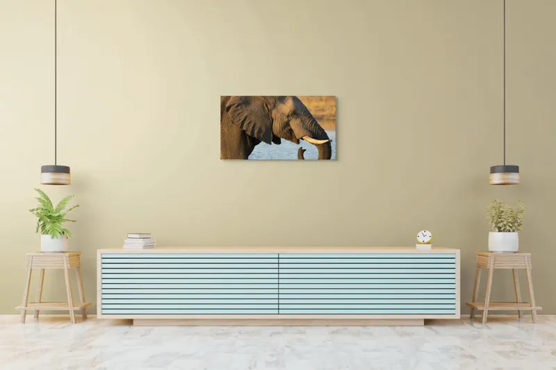 Tablou Canvas, "Elefant lângă apă la apus", Elefant, Apă, Urechi, Trompă, Fildeș, Natură, Piele, Mamifer, 90 x 50 cm – poza 5