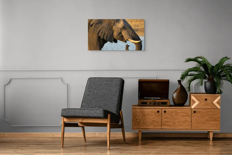 Tablou Canvas, "Elefant lângă apă la apus", Elefant, Apă, Urechi, Trompă, Fildeș, Natură, Piele, Mamifer, 90 x 50 cm – poza 6