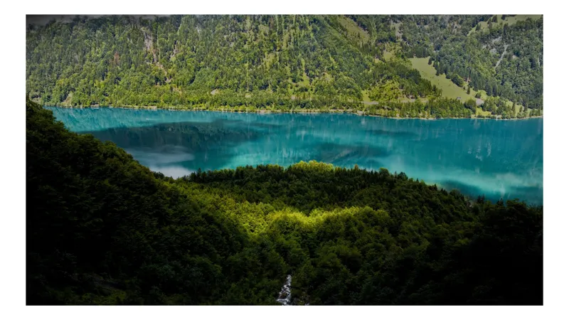 Tablou Canvas, "Râu de smarald între păduri liniștite", Lac, Pădure, Munți, Reflexii, Natură, Verdeață, Lumină, Peisaj, Apă, Cerenitate, 100 x 100 cm