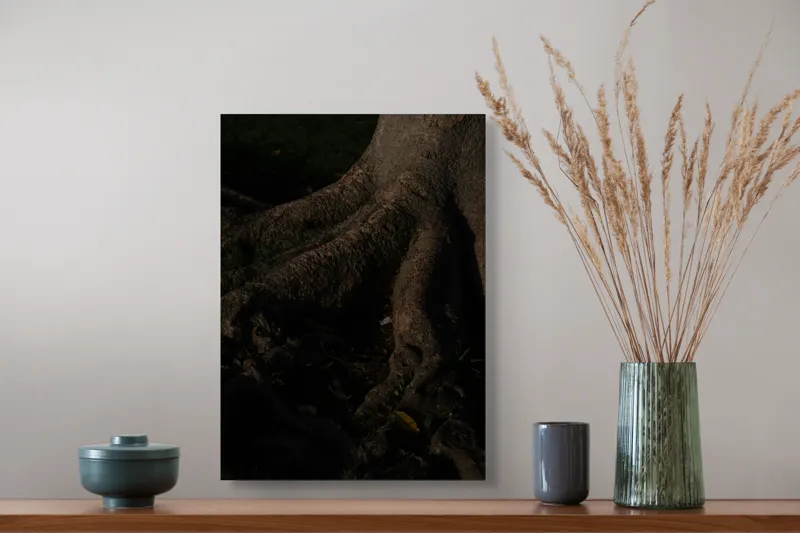 Tablou Canvas, "Umbrele rădăcinilor sub lumina lunii", Trunchi, Rădăcini, Textură, Întuneric, Natură, Arbori, Detalii, Umbră, Lumește, Mister., 39 x 54 cm – poza 3