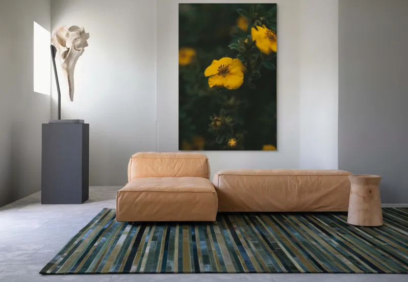Tablou Canvas, "Floare galbenă în lumina înserării", Floare, Galbenă, Înflorită, Natură, Frunziș, Contrast, Delicat, Înviorător, 100 x 150 cm – poza 7