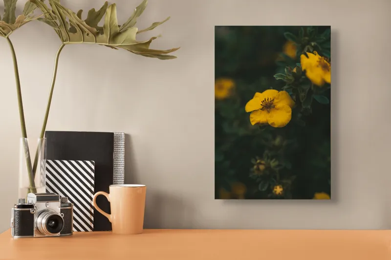 Tablou Canvas, "Floare galbenă în lumina înserării", Floare, Galbenă, Înflorită, Natură, Frunziș, Contrast, Delicat, Înviorător, 26 x 39 cm – poza 3