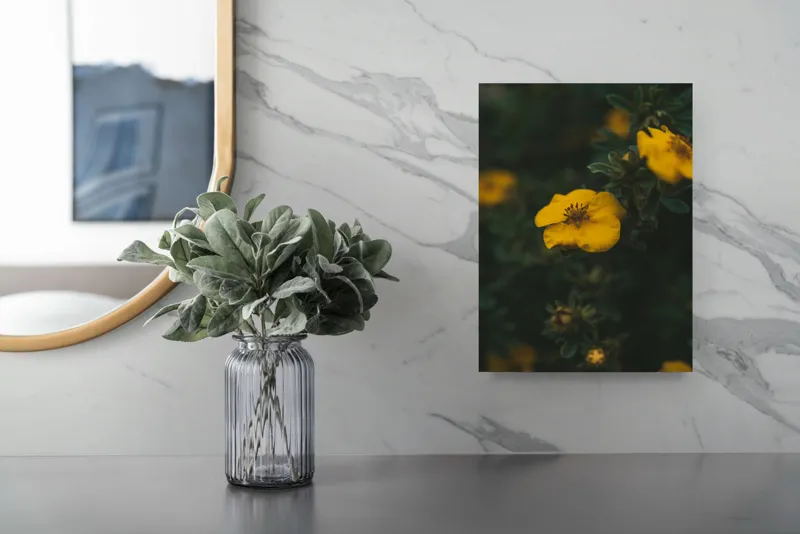 Tablou Canvas, "Floare galbenă în lumina înserării", Floare, Galbenă, Înflorită, Natură, Frunziș, Contrast, Delicat, Înviorător, 26 x 39 cm – poza 4