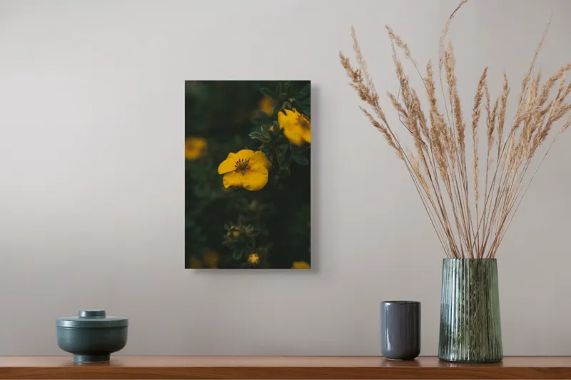 Tablou Canvas, "Floare galbenă în lumina înserării", Floare, Galbenă, Înflorită, Natură, Frunziș, Contrast, Delicat, Înviorător, 26 x 39 cm – poza 5