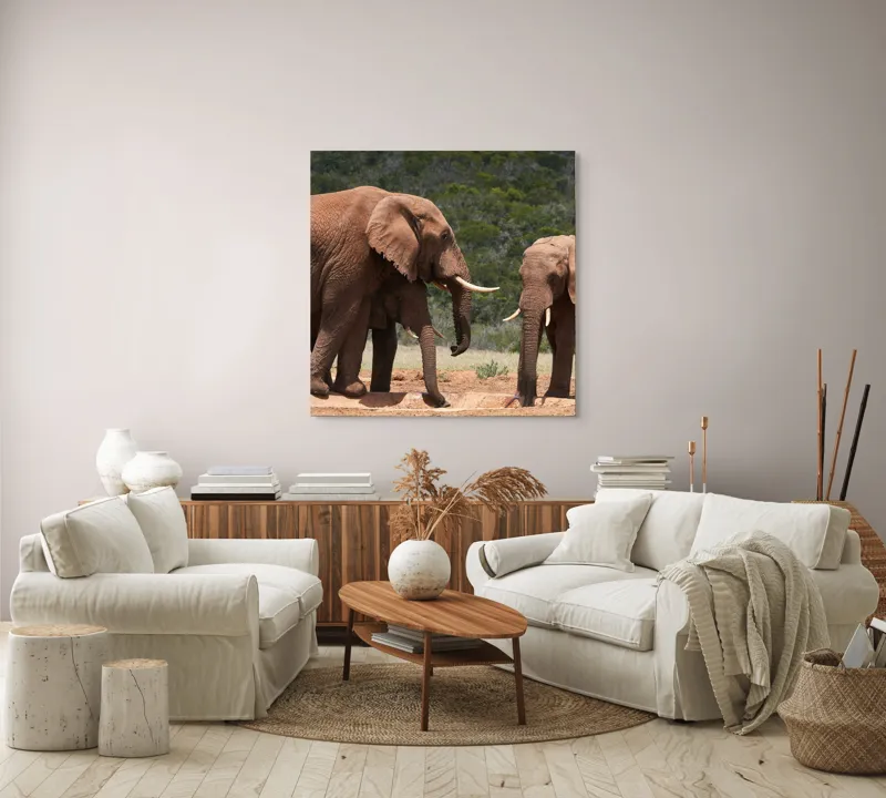 Tablou Canvas, "Elefanți la adăpătoare în savană", Elefanți, Pământ, Natură, Grijă, Comunitate, Savană, Armonie., 100 x 100 cm – poza 3