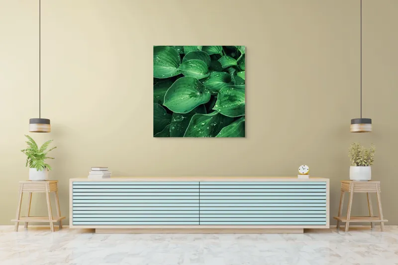 Tablou Canvas, "Frunzele prospăt spălate de ploaie", Frunze, Verde, Picături, Prospețime, Natură, Frumusețe, Vitalitate, 100 x 100 cm – poza 5