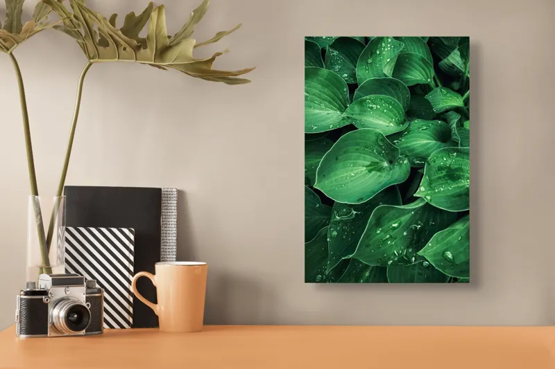Tablou Canvas, "Frunzele prospăt spălate de ploaie", Frunze, Verde, Picături, Prospețime, Natură, Frumusețe, Vitalitate, 26 x 39 cm – poza 3