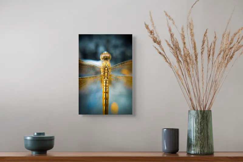 Tablou Canvas, "Libelula aurie în zbor static", Delicate, Simetrie, Aripi, Detaliu, Frumusețe, Natură, Insectă, Strălucire, Culoare, Precizie, 26 x 39 cm – poza 5