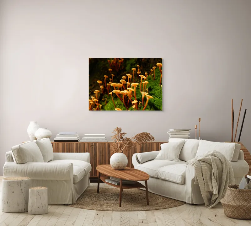 Tablou Canvas, "Ciuperci aurii în pădure verde", Fungi, Pădure, Mușchi, Natură, Ciuperci, Plante, Înverzire, Ecosistem, Habitat, 100 x 70 cm – poza 3