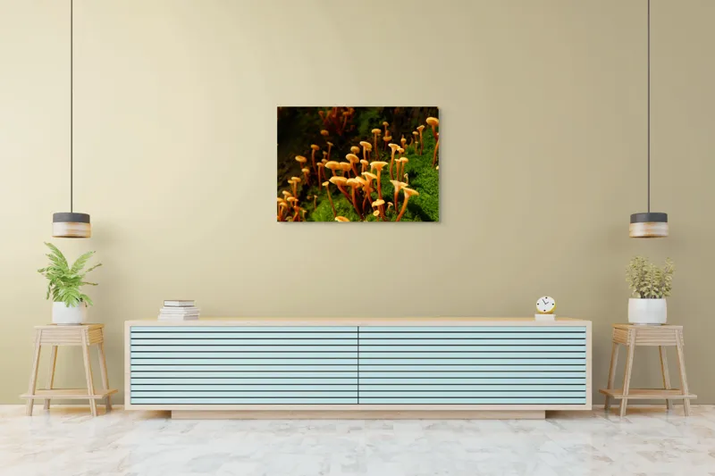 Tablou Canvas, "Ciuperci aurii în pădure verde", Fungi, Pădure, Mușchi, Natură, Ciuperci, Plante, Înverzire, Ecosistem, Habitat, 100 x 70 cm – poza 4