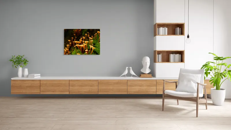 Tablou Canvas, "Ciuperci aurii în pădure verde", Fungi, Pădure, Mușchi, Natură, Ciuperci, Plante, Înverzire, Ecosistem, Habitat, 100 x 70 cm – poza 6
