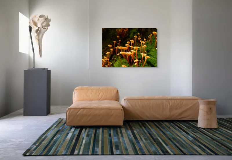 Tablou Canvas, "Ciuperci aurii în pădure verde", Fungi, Pădure, Mușchi, Natură, Ciuperci, Plante, Înverzire, Ecosistem, Habitat, 100 x 70 cm – poza 7