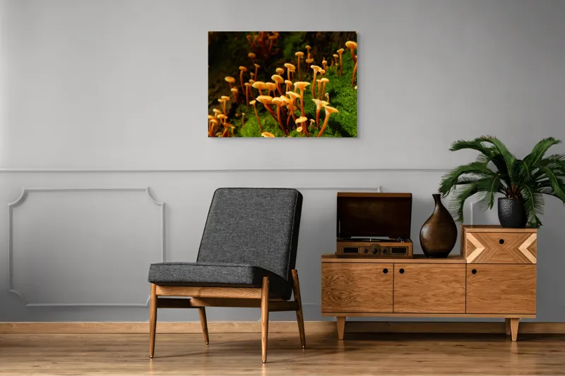 Tablou Canvas, "Ciuperci aurii în pădure verde", Fungi, Pădure, Mușchi, Natură, Ciuperci, Plante, Înverzire, Ecosistem, Habitat, 100 x 70 cm – poza 8
