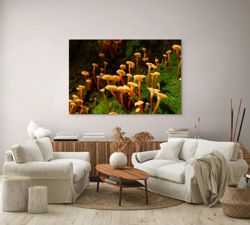 Tablou Canvas, "Ciuperci aurii în pădure verde", Fungi, Pădure, Mușchi, Natură, Ciuperci, Plante, Înverzire, Ecosistem, Habitat, 150 x 100 cm – poza 3