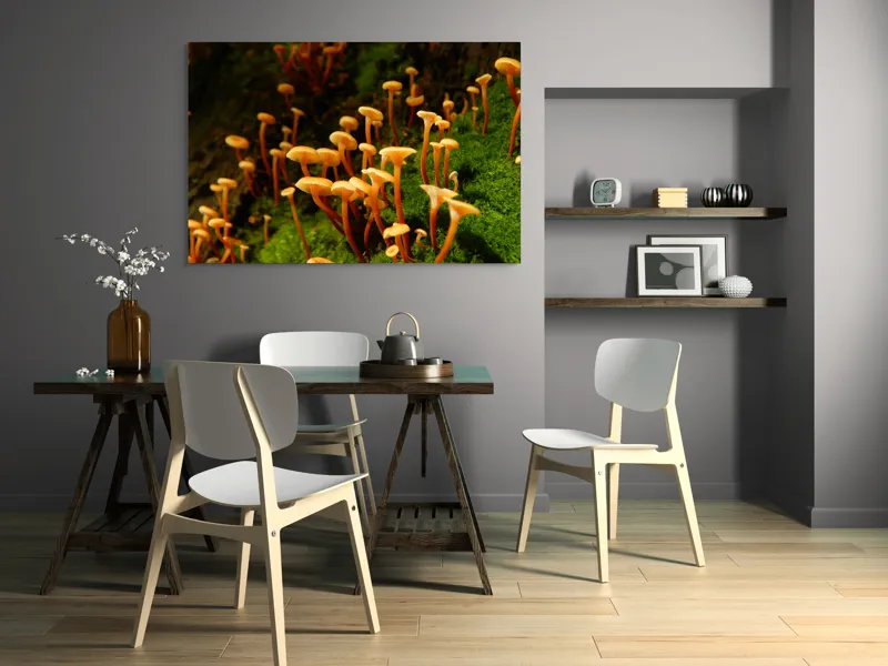 Tablou Canvas, "Ciuperci aurii în pădure verde", Fungi, Pădure, Mușchi, Natură, Ciuperci, Plante, Înverzire, Ecosistem, Habitat, 150 x 100 cm – poza 5