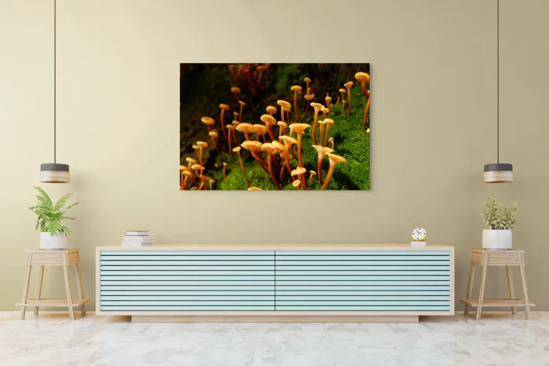 Tablou Canvas, "Ciuperci aurii în pădure verde", Fungi, Pădure, Mușchi, Natură, Ciuperci, Plante, Înverzire, Ecosistem, Habitat, 150 x 100 cm – poza 6
