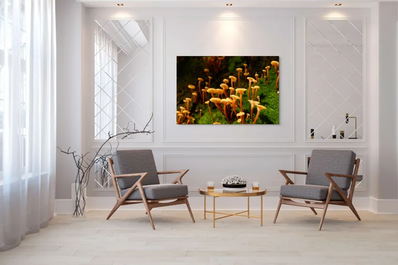 Tablou Canvas, "Ciuperci aurii în pădure verde", Fungi, Pădure, Mușchi, Natură, Ciuperci, Plante, Înverzire, Ecosistem, Habitat, 150 x 100 cm – poza 7