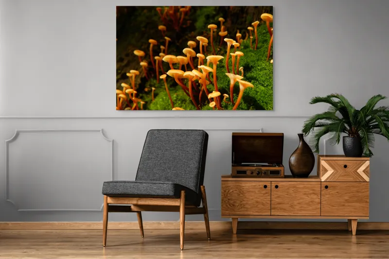 Tablou Canvas, "Ciuperci aurii în pădure verde", Fungi, Pădure, Mușchi, Natură, Ciuperci, Plante, Înverzire, Ecosistem, Habitat, 150 x 100 cm – poza 8