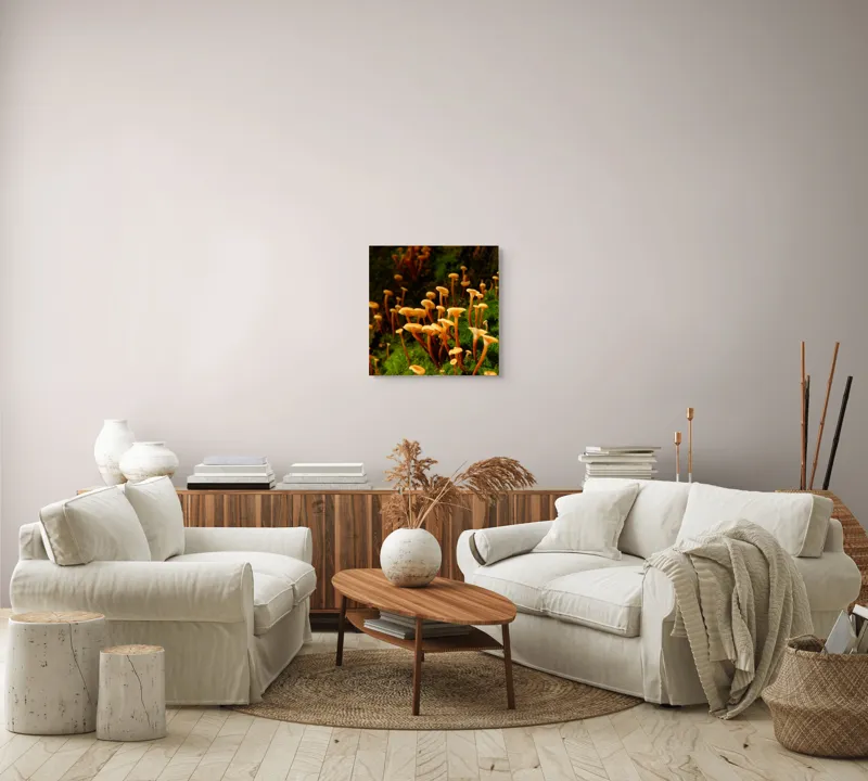 Tablou Canvas, "Ciuperci aurii în pădure verde", Fungi, Pădure, Mușchi, Natură, Ciuperci, Plante, Înverzire, Ecosistem, Habitat, 50 x 50 cm – poza 7