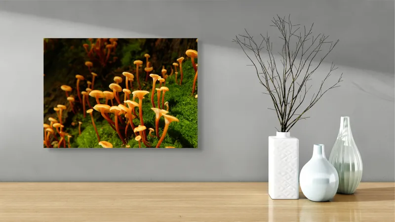 Tablou Canvas, "Ciuperci aurii în pădure verde", Fungi, Pădure, Mușchi, Natură, Ciuperci, Plante, Înverzire, Ecosistem, Habitat, 54 x 39 cm – poza 3