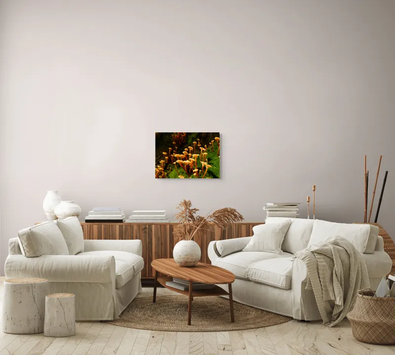 Tablou Canvas, "Ciuperci aurii în pădure verde", Fungi, Pădure, Mușchi, Natură, Ciuperci, Plante, Înverzire, Ecosistem, Habitat, 54 x 39 cm – poza 5